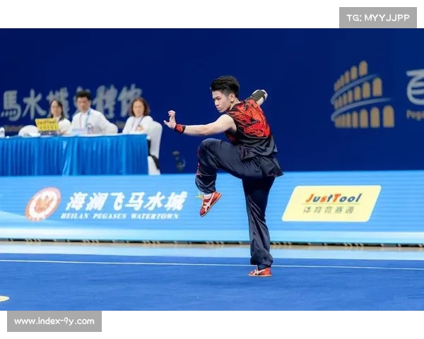 全运会武术项目:文化传承与竞技水平结合 全运会武术项目:文化传承与竞技水平结合